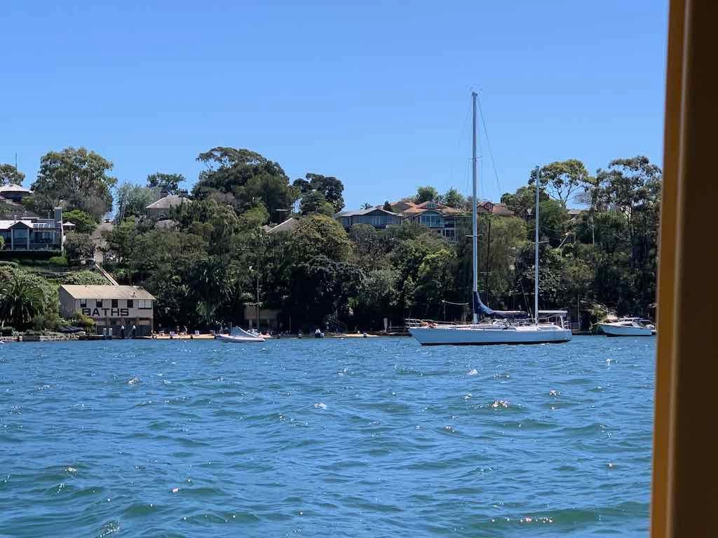 October 2022 Jacaranda Cruise Image -6361c87867695